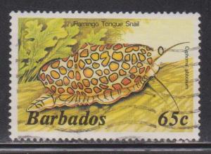 BARBADOS Scott # 653 Used - Marine Life - Flamingo Tongue Snail