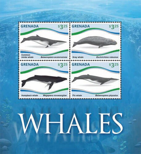 Grenada - 2015 - Whales - Marine Life - Sheet Of 4 stamps - MNH