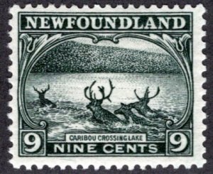 130, NSSC, Newfoundland, 9c, slate green, Caribou Crossing Lake, MLHOG, F