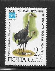 Russia #5050 MNH Single.