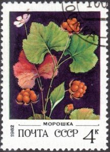 Russia 5023 - Cto - 4k Cloudberry (1982)