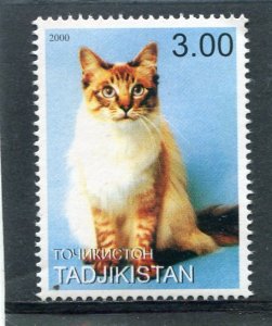 Tajikistan 2000 DOMESTIC CAT Single Perforated Mint (NH)