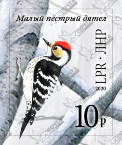 Stamps of  Ukraine ( lokal ) 2020 - Birds