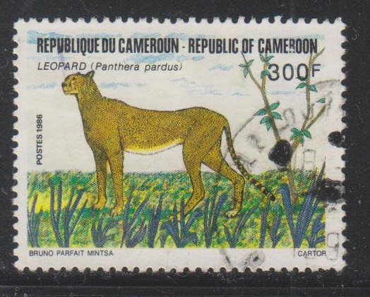 Cameroun, 300fr  Panthera pardus (SC# 824) USED