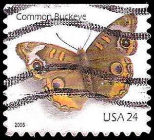 # 4001a USED COMMON BUCKEYE BUTTERFLY