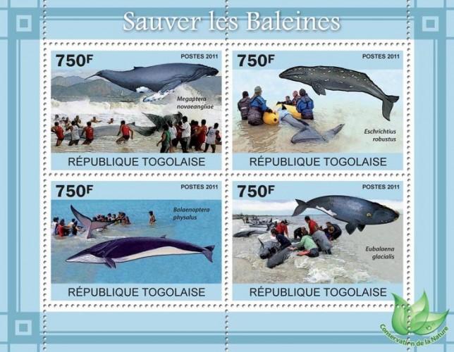 TOGO 2011 SHEET SAVE THE WHALES MARINE LIFE tg11118a