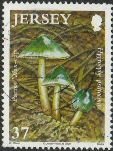 Jersey, #1402  Used  From 2009