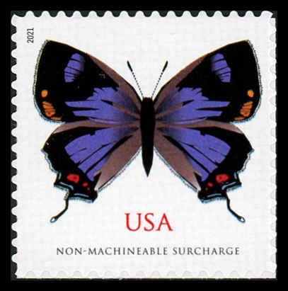 USA 5568 Mint (NH) Colorado Hairstreak (Non-Machinable 99c)