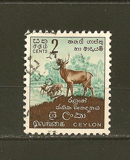 Ceylon 346 Used