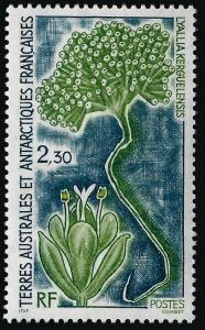 Dramatic FSAT TAAF #185 MNH VF...Antarctic or bust!