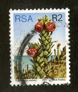 SOUTH AFRICA 491 USED BIN $.75 PLANT