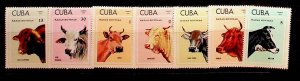 CUBA Sc 1804-10 NH ISSUE OF 1973 - DOMESTIC ANIMALS - COWS