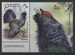 2020 Belarus 1334Tab Birds