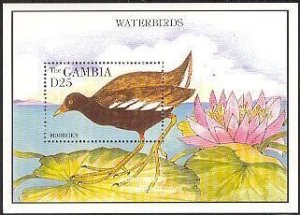 Gambia MNHN S/S Waterbirds Moorhen 1995