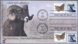#4140 Big Horn Sheep Dual C-Cubed FDC