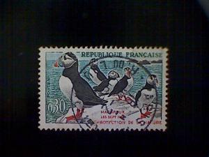 France, Scott #979, used (o), 1960, Birds, Puffins, 30cts, multicolored