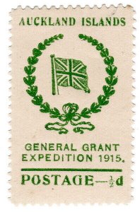 (I.B) New Zealand Cinderella : General Grant Salvage Expedition ½d (1915)