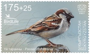 Kyrgyzstan 2023 The House Sparrow Bird of the Year stamp MNH