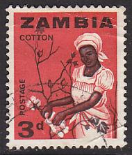 Zambia 7 Woman Picking Cotton 1964