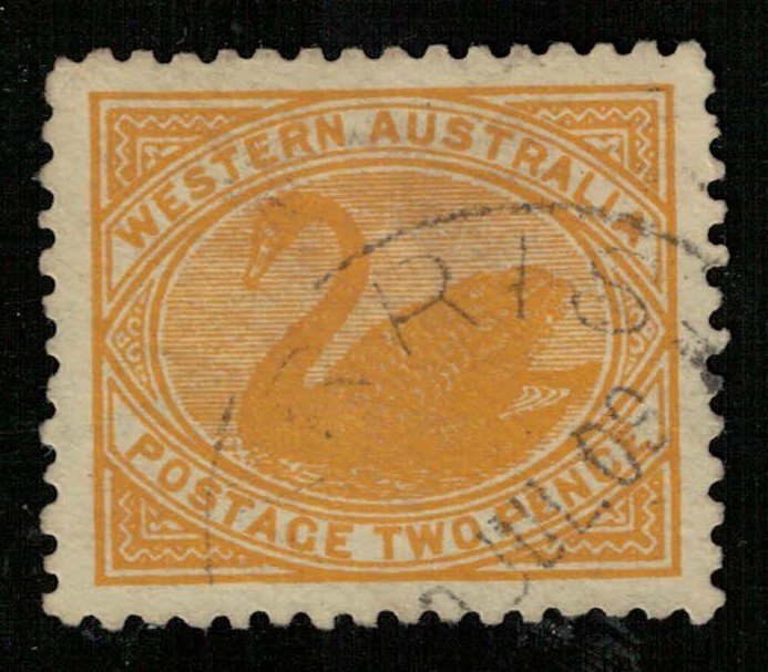 1905-1912, Black Swan, 2 Pence, Australia (T-9054)