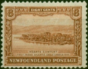 Newfoundland 1928 8c Red-Brown SG170 Fine MM
