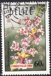 Belize #1072 Used