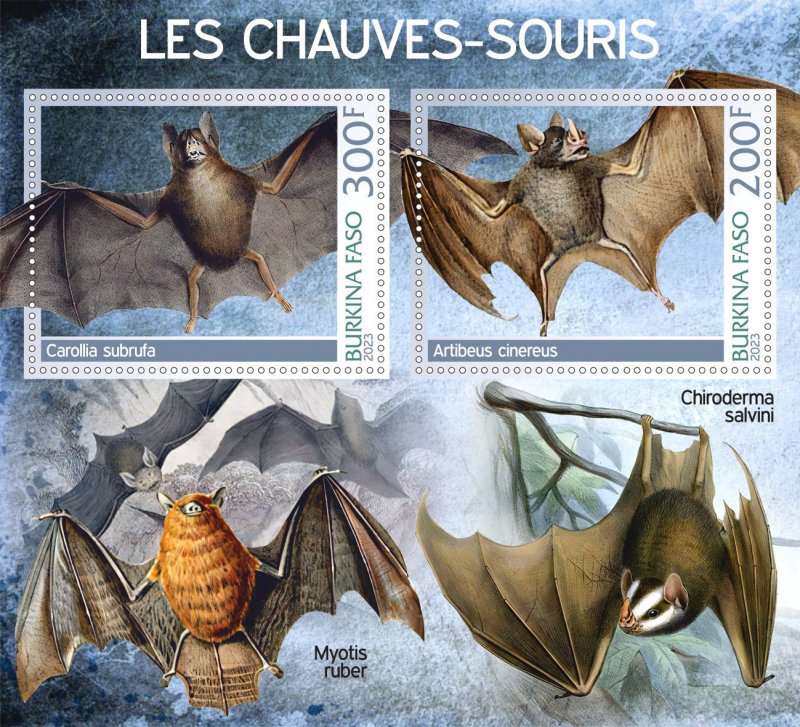 Stamps. Fauna. Bats 2023 year 1+1 sheets  perf Burkino Faso NEW