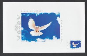 DOVE = PIGEON = Souvenir Card with picture postage stamp MNH Canada 2014 [p7sp5]