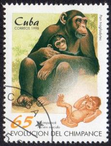 Cuba 3921 - Cto - 65c Chimp / Newborn (1998) (cv $1.25)