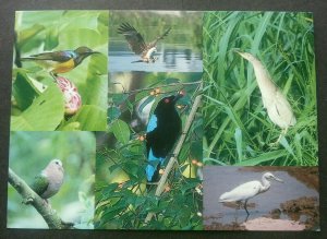 *FREE SHIP Singapore Birds Of ASEAN 1994 Fauna (postcard) MNH *ASEANPEX '94