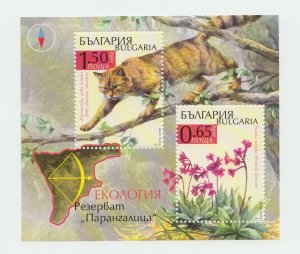 Bulgaria 2012 STAMPS Cat fauna wild cat ecology MS MNH POSTAL HISTORY