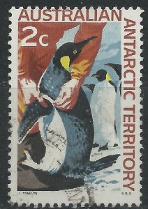 Australian Antarctic Territory 1966 - 2c Banding Penguins - SG9 used