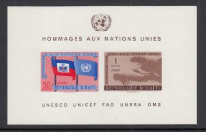 Haiti C135a United Nations Souvenir Sheet MNH VF