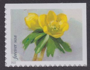 US 5728 Snowy Beauty Winter Aconite F single MNH 2022