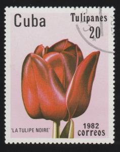 2497 Tulip