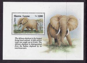 Sierra Leone-Sc.1656-unused NH sheet-Animals-Elephants-1993-