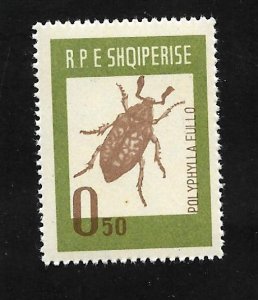 Albania 1963 - MNH - Scott #660