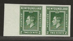 NEWFOUNDLAND  SC# 245a  IMPERF PAIR  VF/MNG