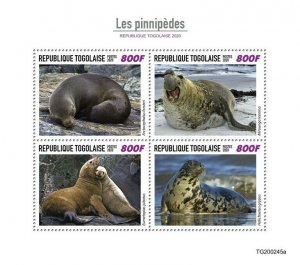 Togo Wild Animals Stamps 2020 MNH Seals Pinnipeds Marine Mammals 4v M/S