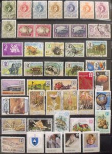A2631   SWAZILAND            Collection                 Mint/Used
