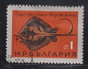 Bulgaria 1403 Fish of the Black Sea - Sting Ray 1965