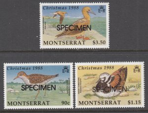 Montserrat 703-705 Birds Christmas Specimens MNH VF