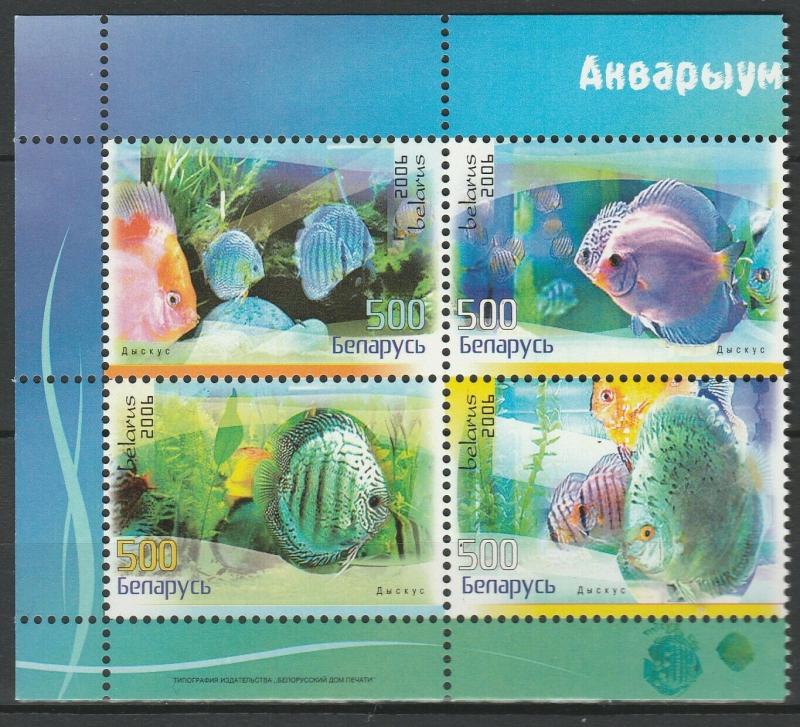Belarus 2006 Fauna Fish 4 MNH stamps
