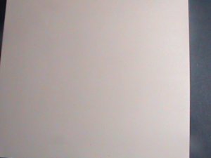 ​RAS AL KHAIMA- ENDANGER ANIMALS-ZEBRA-MNH IMPERF- S/S VERY FINE VERY LIMITED