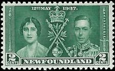 NEWFOUNDLAND   #230 MNH (1)