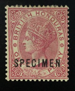 MOMEN: BRITISH HONDURAS SG #18s 1882-7 SPECIMEN MINT OG H £275 LOT #61801