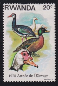 Rwanda 897 Ducks 1978