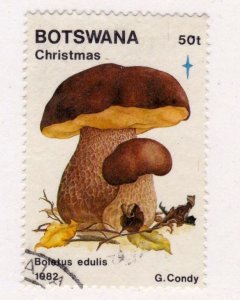 Botswana          324               used