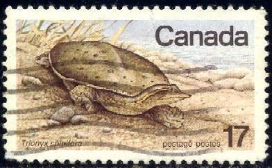 Soft-shelled Turtle, Endangered Wildlife, Canada SC#813 used