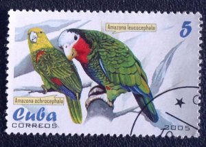 CUBA Sc# 4466  PARROTS tropical birds 5c  2005  used / cto